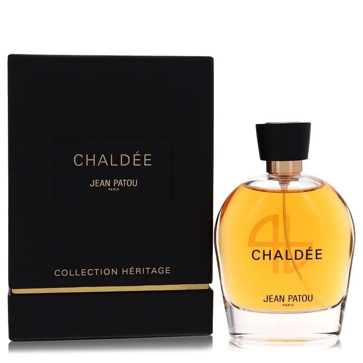 Chaldee by Jean Patou Eau De Parfum Spray 3.3 oz for Women - The Melanated's Fundamentals