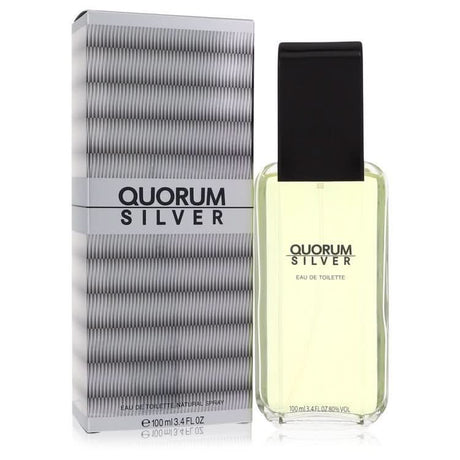 Quorum Silver by Puig Eau De Toilette Spray for Men - The Melanated's Fundamentals
